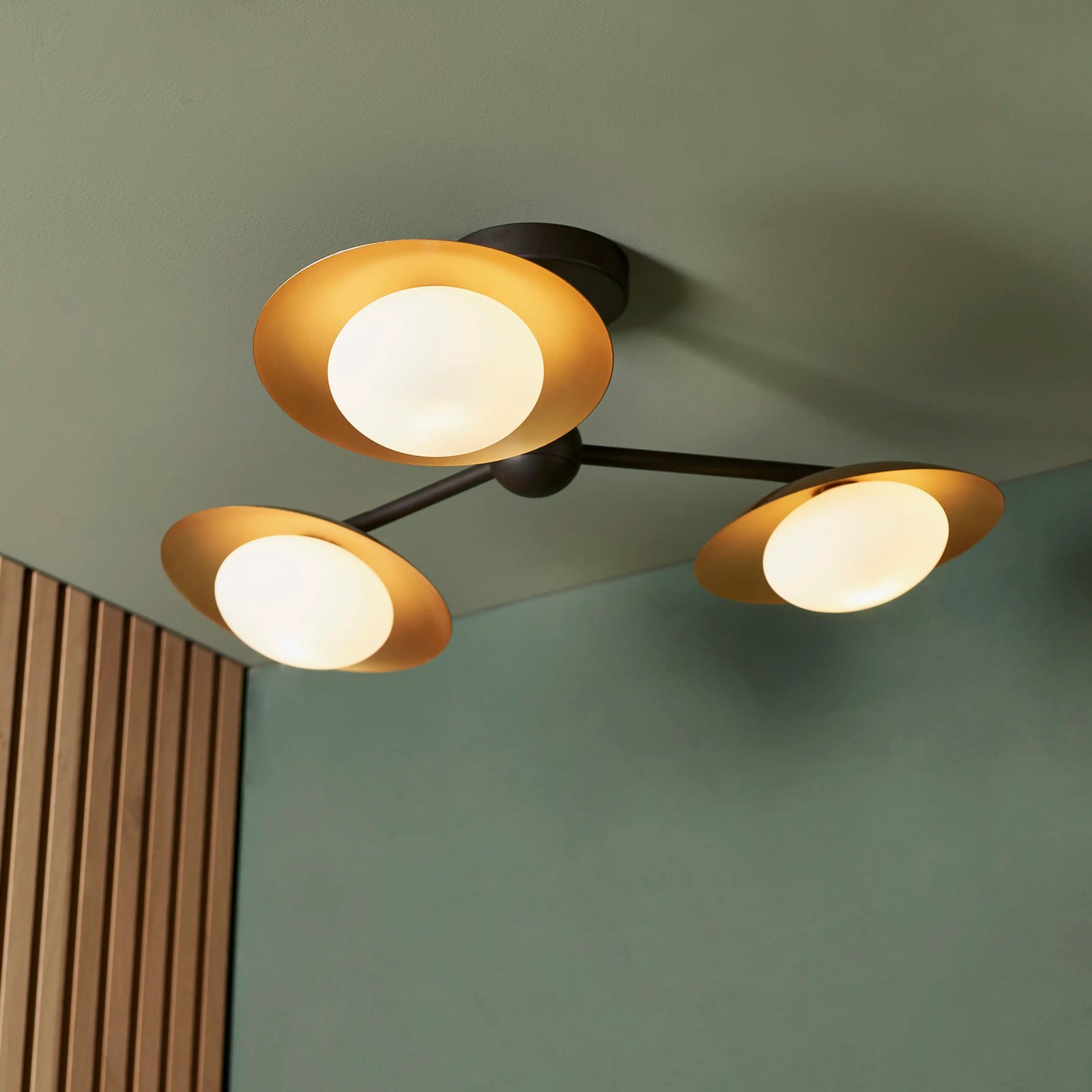 Temuka 3 Light Flush Ceiling Light | Brass & Black