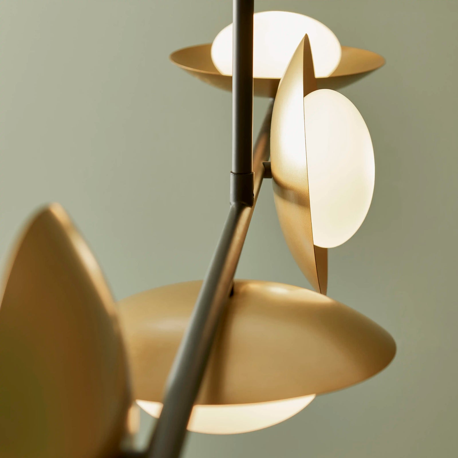 Temuka 4 Light Pendant Light | Brass & Black
