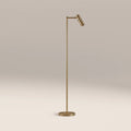 Dedicated Reader Floor Lamp | Brass