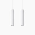 Assia 2 Light Pendant Light | Concrete Grey